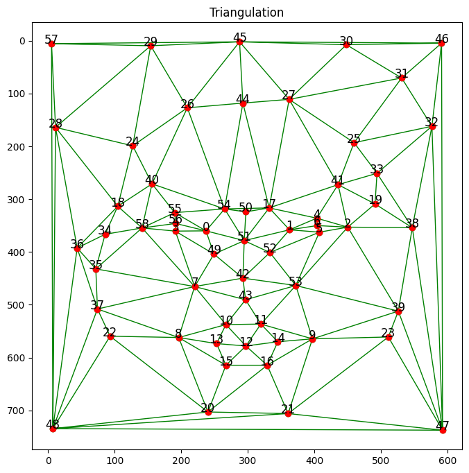 Triangulation Mesh